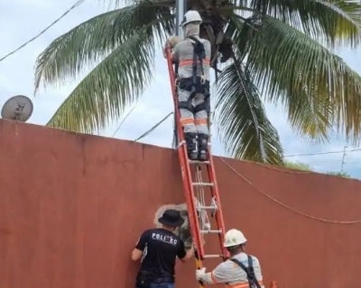 Empres�ria e PM s�o presos em MT por fazer 