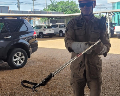 Bombeiros resgatam serpente peonhenta de motocicleta em Primavera do Leste