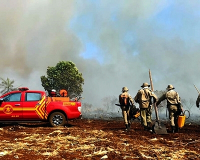 Trump suspende parceria para combate de inc�ndios florestais no Brasil