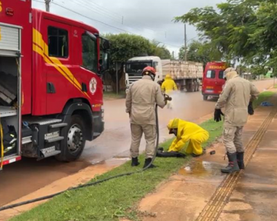 Bombeiros resgatam mulher e 11 animais aps ataque de abelhas em Sinop