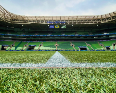 Estrelas do futebol brasileiro lideram campanha contra gramados sintticos