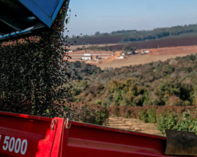 Caf� ar�bica atinge maior pre�o em 30 anos, aponta Cepea