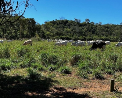 Alvo de opera��o em MT ostentava ve�culos, gado e vida de luxo nas redes sociais, segundo pol�cia