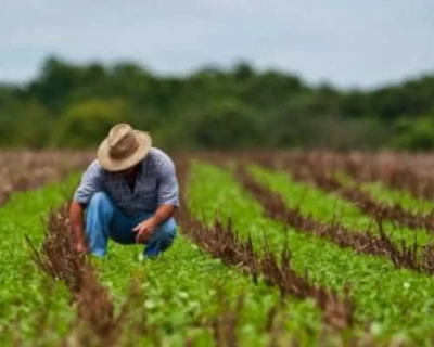 Programa Desenrola Rural entra em vigor hoje
