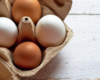 EUA quase dobram importa��es de ovos brasileiros em meio � crise causada pela gripe avi�ria