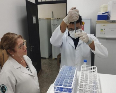 Pesquisadores de Mato Grosso descobrem nova espcie de fungo como causa da doena da Paracoccidioidomicose (PCM)