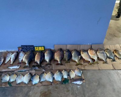 Sema apreende 38 kg de pescado irregular e aplica multa de R$ 8,8 mil a infrator