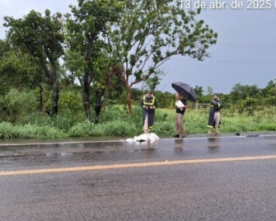 Homem � encontrado morto na BR-070 em Nossa Senhora do Livramento
