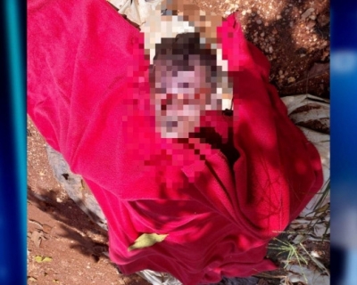 Mistrio no Garimpo: homem  encontrado morto em regio de garimpo prximo a Pontes e Lacerda
