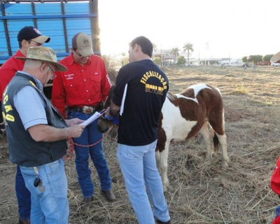 Indea promove curso para mdicos veterinrios interessados em atuar em eventos agropecurios