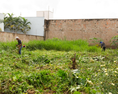 Prefeitura de Rondonpolis inicia limpeza de terrenos particulares e cobra custos dos proprietrios
