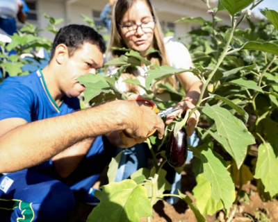 Projeto contempla 300 unidades estaduais em 2025