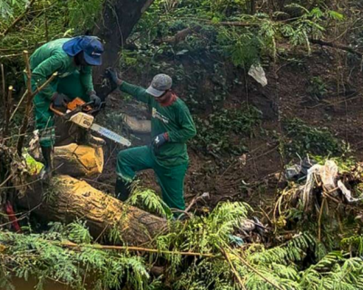 Servios Pblicos remove mais de 650 t de resduos nos bairros que sofreram alagamentos em Vrzea Grande