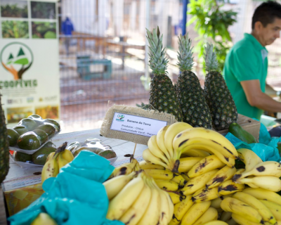 Seaf e Empaer reabrem feira que aproxima campo e cidade com produtos de qualidade