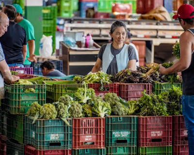 Anvisa amplia fiscalizao de agrotxicos em alimentos com novo ciclo de monitoramento