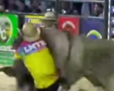 Salva-vidas � socorrido ap�s levar coice de touro durante rodeio no Nort�o