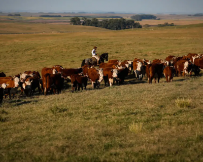  Economia brasileira cresce 1,4% no 1� trimestre de 2025 e atinge R$ 3 trilh�es, aponta IBGE