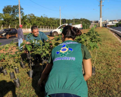 Pauta ambiental deixa de ser apenas um ato comemorativo em Vrzea Grande