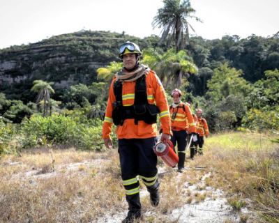 �ltimos dias para inscri��es no Congresso Internacional de Gest�o de Inc�ndios Florestais