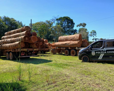 Opera��o da Pol�cia Civil apreende cargas ilegais de madeiras em duas empresas em Ju�na