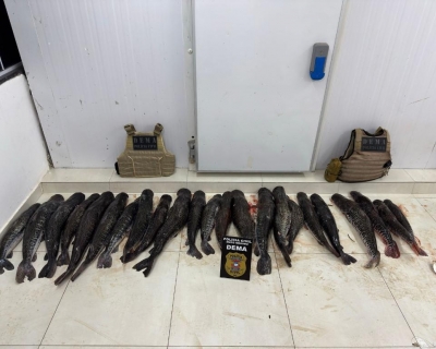 Pol�cia Civil apreende 124 quilos de pescado ilegal em propriedade rural em Bar�o de Melga�o