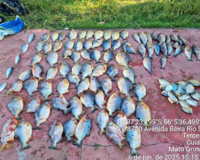 Homem � preso por transporte ilegal de pescado e embriaguez ao volante em Cuiab�