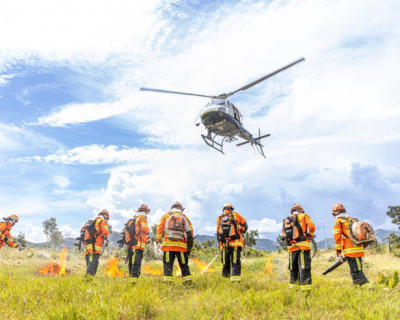 ForestFire apresenta programa��o com especialistas de 10 pa�ses e feira de tecnologias
