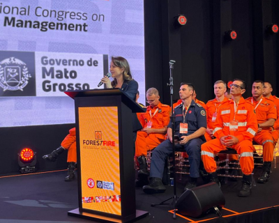 �Sema e Corpo de Bombeiros atuam conjuntamente em busca de efici�ncia nas a��es de preven��o, combate e responsabiliza��o de il�citos�, destaca Secret�ria