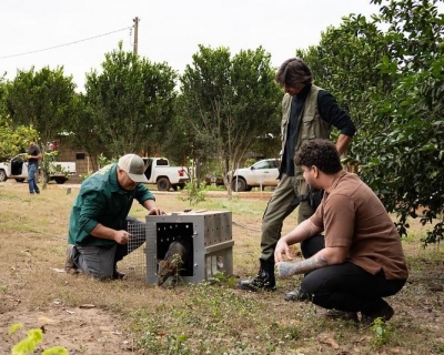 Sema realiza soltura de animais em reserva ecol�gica no munic�pio de S�o Jos� do Rio Claro