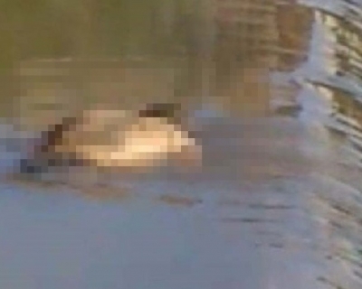 Boliviano � encontrado morto no Rio Paraguai em C�ceres