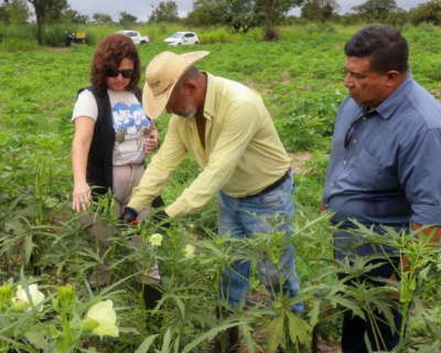 Semana de visitas tcnicas valoriza agricultura familiar em Vrzea Grande
