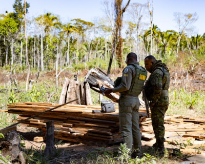 Sema deflagra 127 opera��es contra crimes ambientais e aplica R$ 1,3 bilh�o em multas no primeiro semestre de 2025