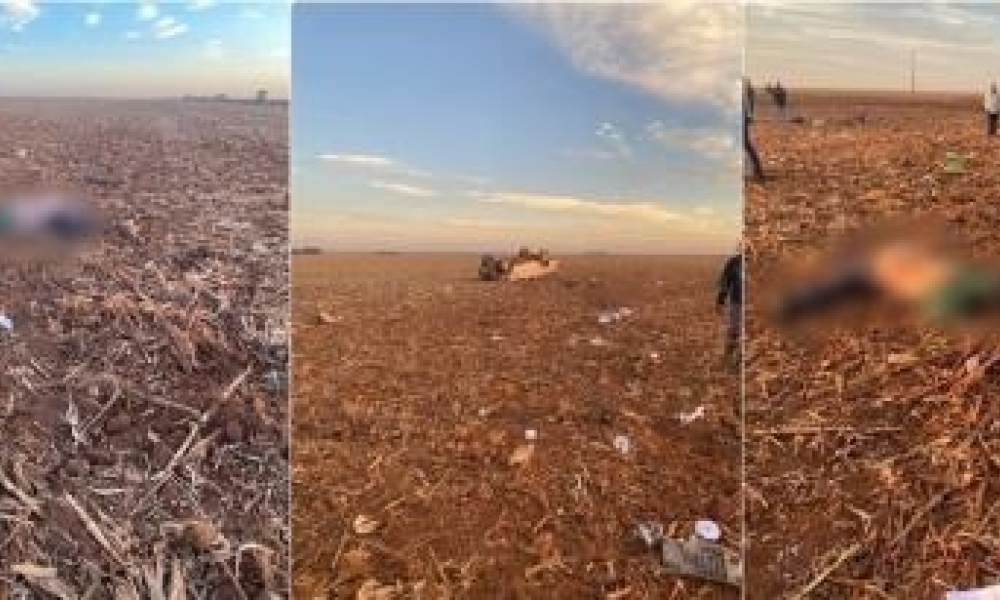 Homem morre após perder controle de Hilux e capotar em lavoura