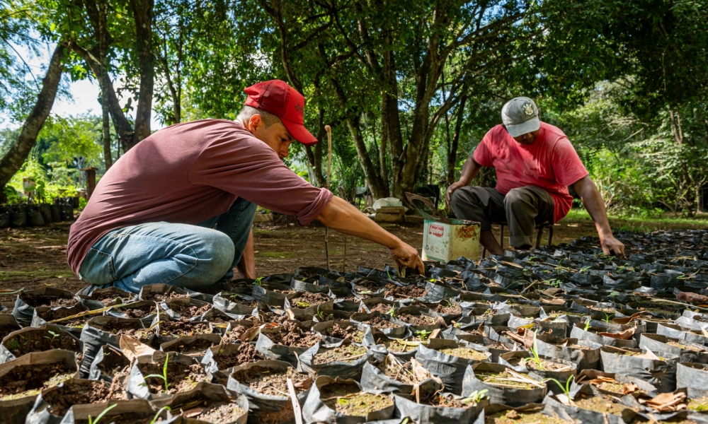 SEAF apoia pesquisa internacional sobre fungo que causa doença em trabalhadores rurais