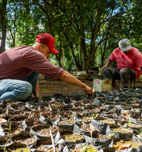 SEAF apoia pesquisa internacional sobre fungo que causa doença em trabalhadores rurais