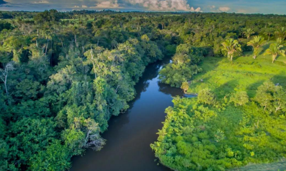 AMAZONAS DEVE ENFRENTAR SECA MAIS SEVERA EM 2024