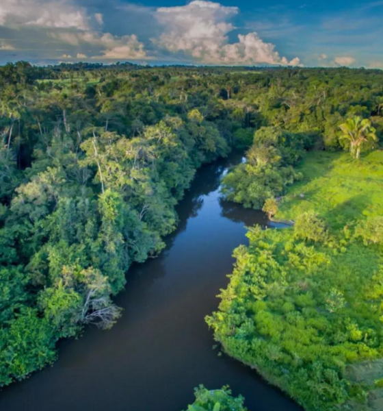 AMAZONAS DEVE ENFRENTAR SECA MAIS SEVERA EM 2024
