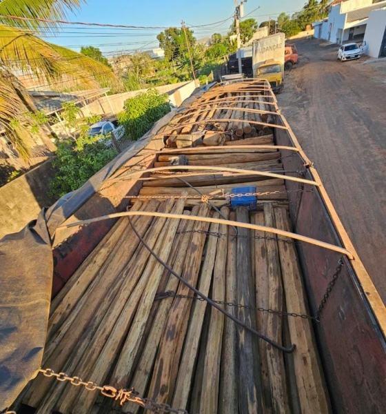Polícia Civil intensifica combate ao transporte ilegal de madeira entre Mato Grosso e Rondônia