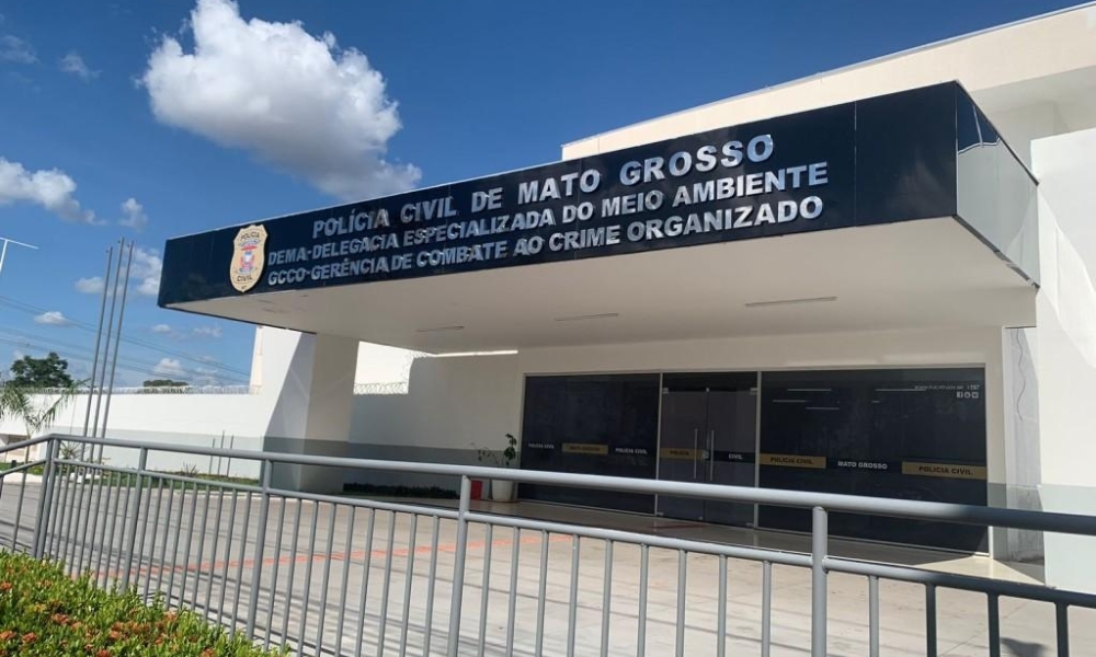 Polícia Civil encontra gatos mortos em residência e prende homem por suspeita de maus-tratos