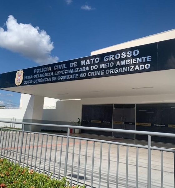 Polícia Civil encontra gatos mortos em residência e prende homem por suspeita de maus-tratos