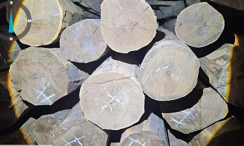 Polícia Civil intensifica trabalho de enfrentamento ao crime ambiental em Comodoro