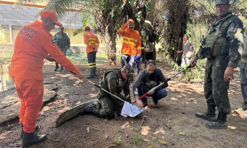 Sema conclui curso com aula prática de resgate e manejo de animais no Cempas da UFMT