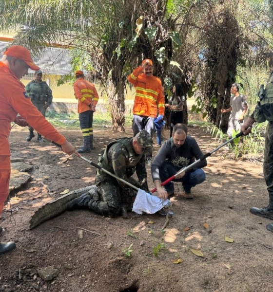 Sema conclui curso com aula prática de resgate e manejo de animais no Cempas da UFMT