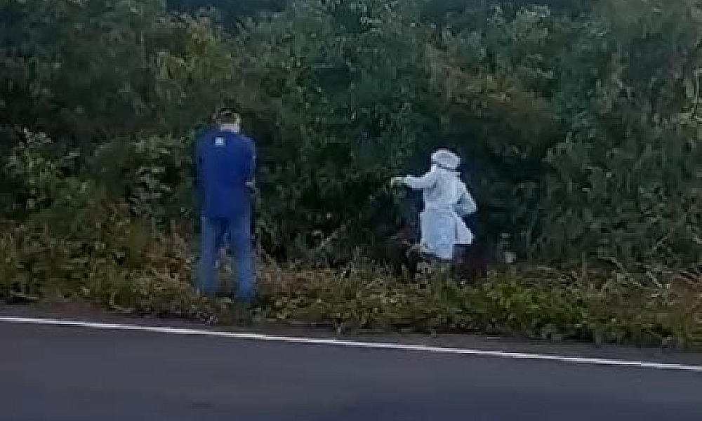 Polícia acha corpo de jovem dentro de mala em rodovia de MT