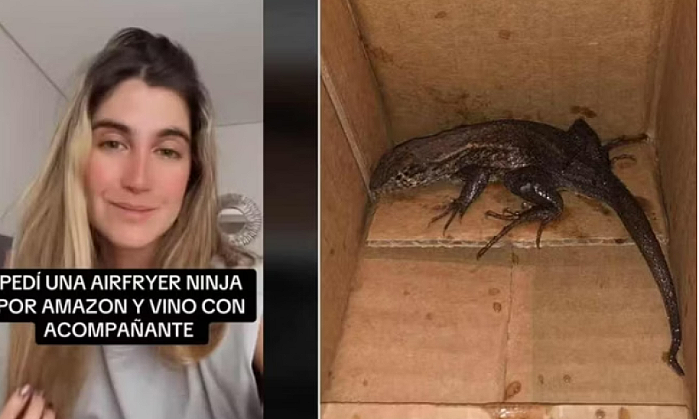 Mulher compra air fryer on-line e recebe réptil vivo no pacote.
