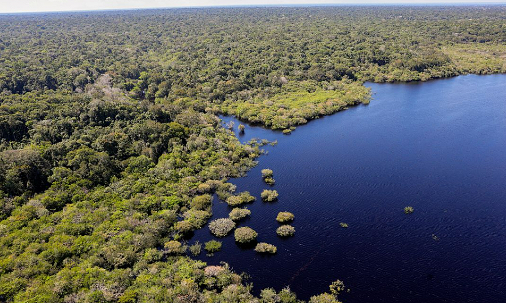 União Europeia fará doação de R$ 120 milhões ao Fundo Amazônia