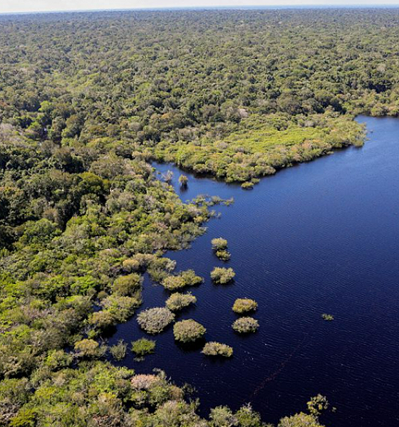 União Europeia fará doação de R$ 120 milhões ao Fundo Amazônia