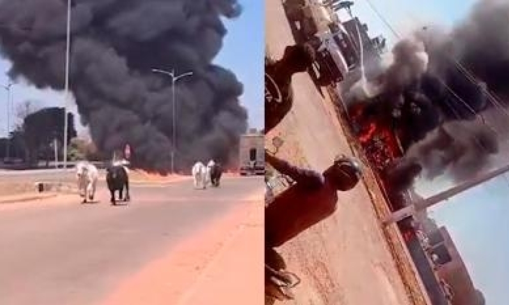 Carreta pega fogo e animais se espalham pela pista