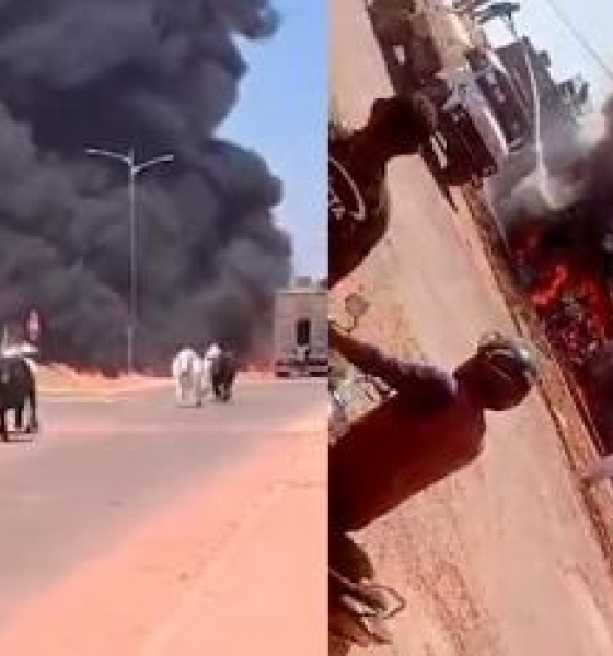 Carreta pega fogo e animais se espalham pela pista