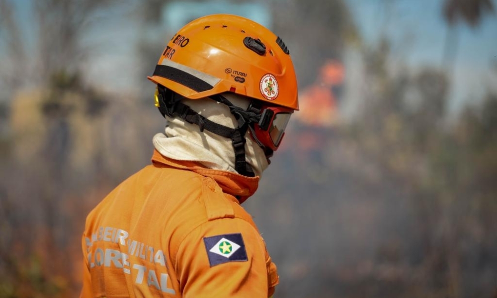 Corpo de Bombeiros combate 11 incêndios florestais nesta quinta-feira (14)